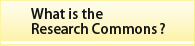 What is the Research Commons?