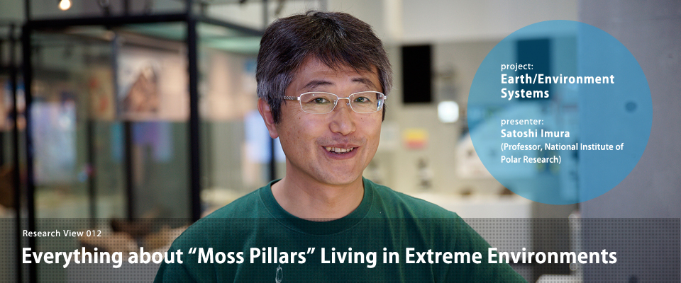 Everything about “moss pillars” living in  extreme environments