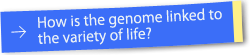 How is the genome linked to the variety of life?